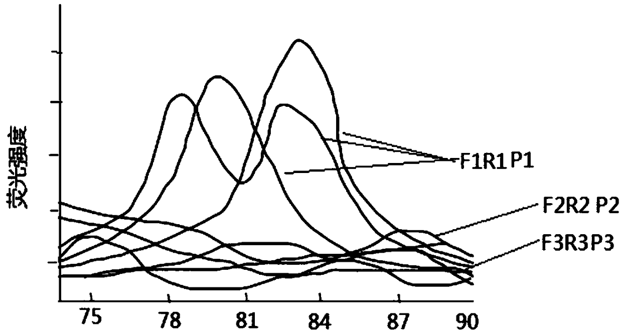 Detection kit and method for polymorphism of ALDH2 gene RS671