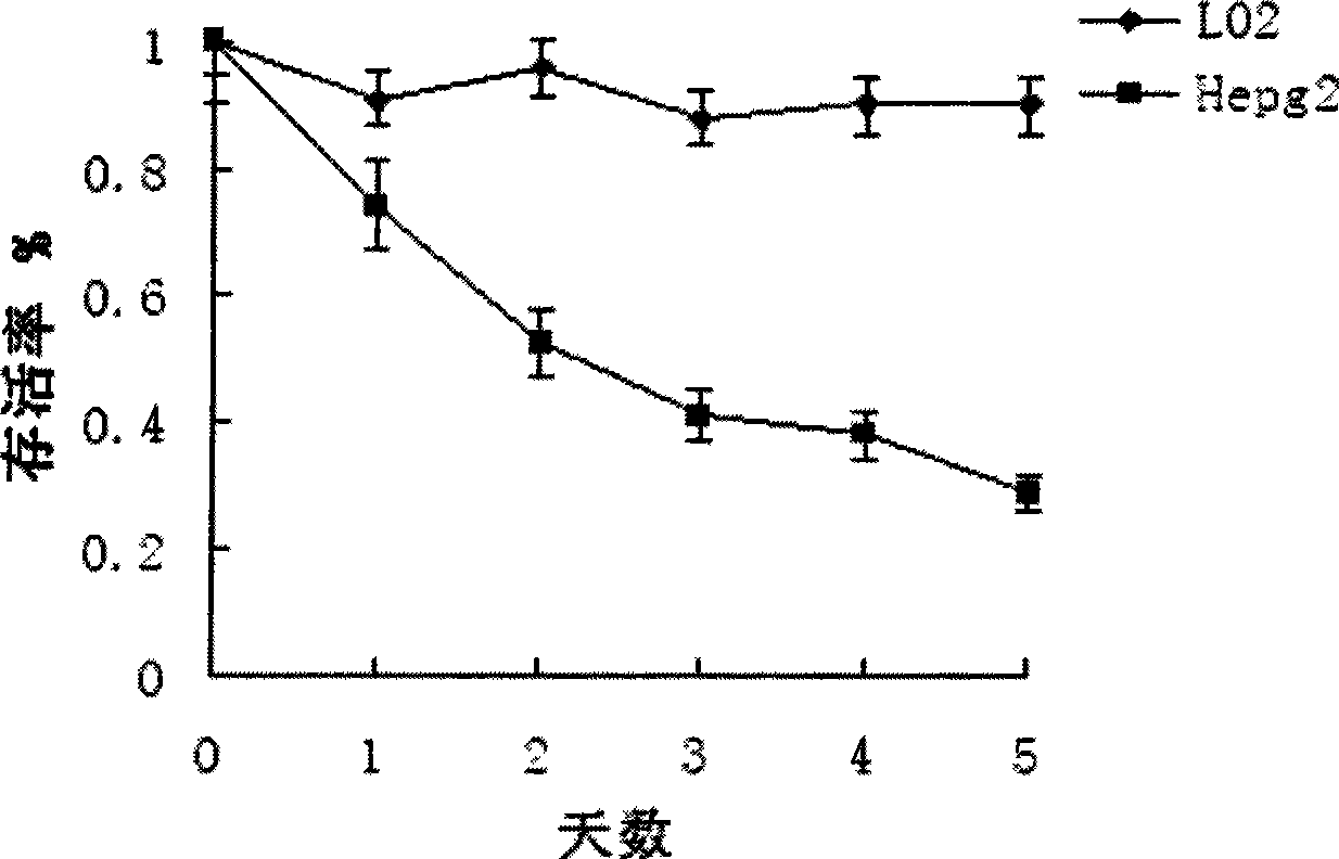 Small peptide for inhibiting solid tumor and leukaemia cancer cell growth and use thereof