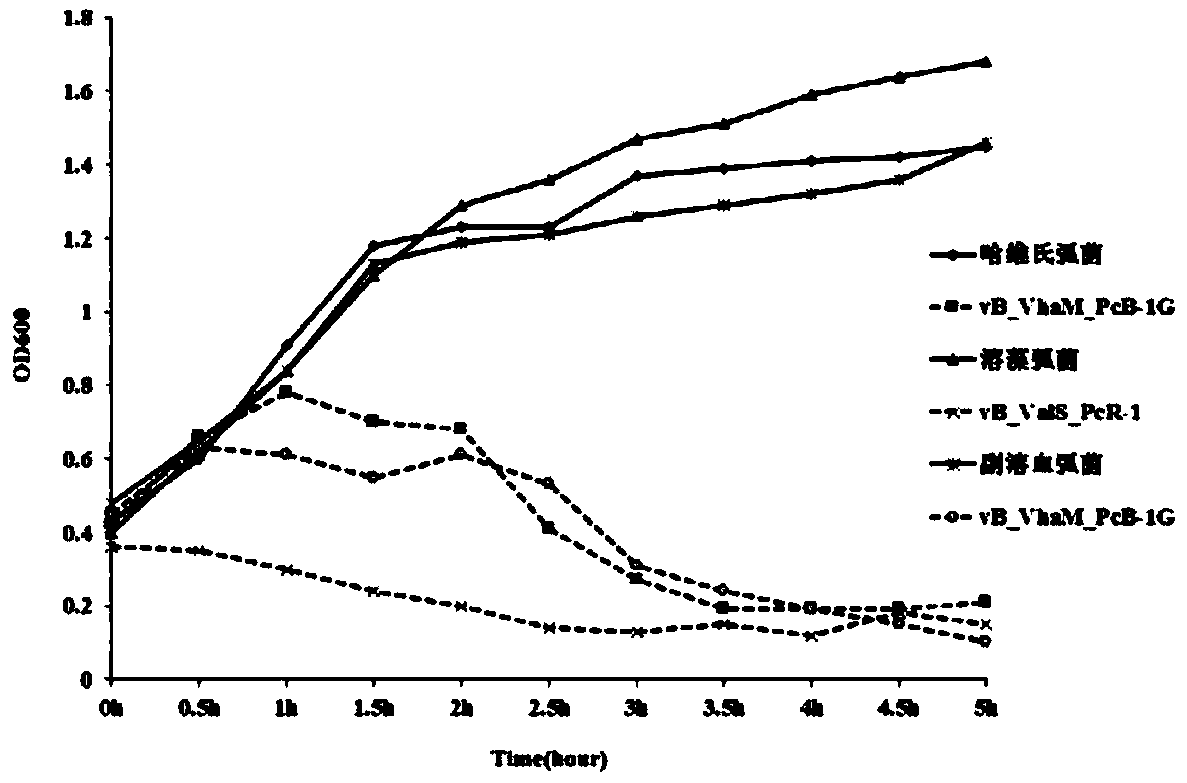 Vibrio bacteriophage and bactericidal composition preparation method and application thereof