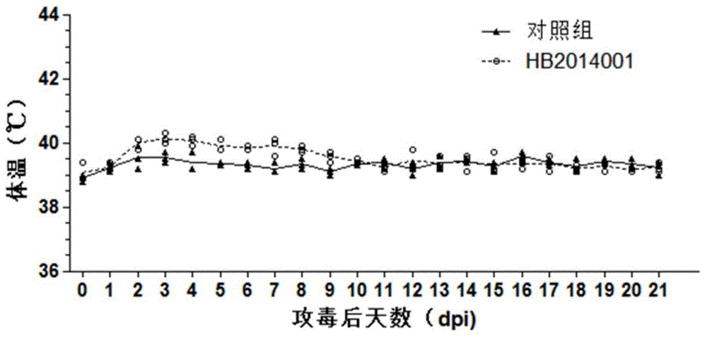 Low-pathogenicity porcine reproductive and respiratory syndrome virus, and vaccine and application thereof