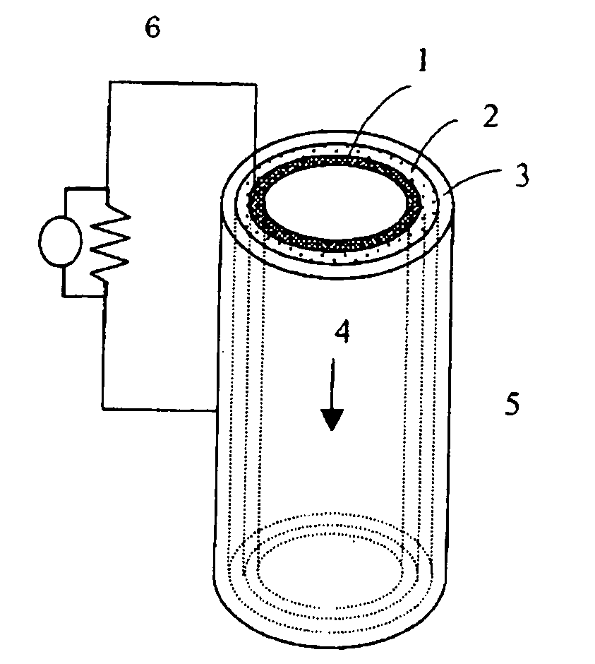 Anode for Bioelectric Power Generation And Power Generation Method And Apparatus Utilizing Same