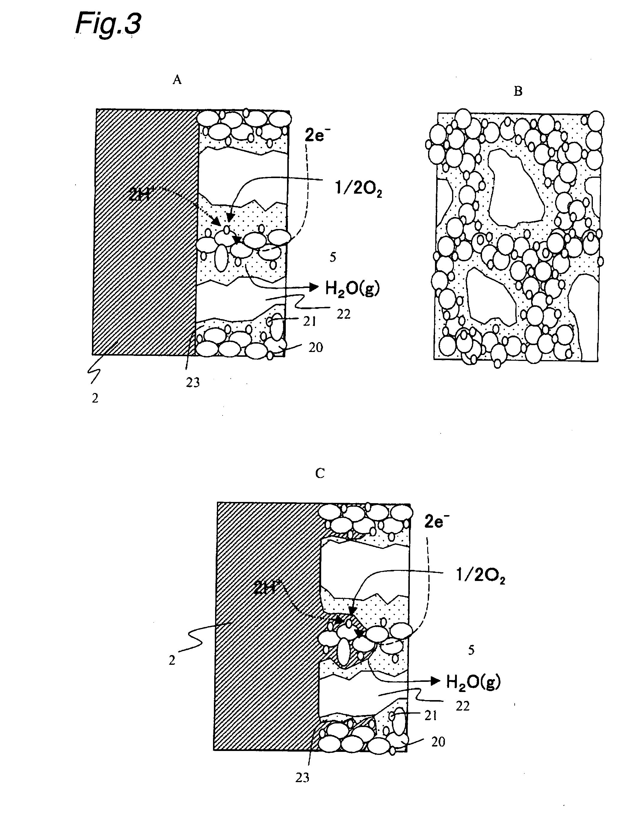 Anode for Bioelectric Power Generation And Power Generation Method And Apparatus Utilizing Same
