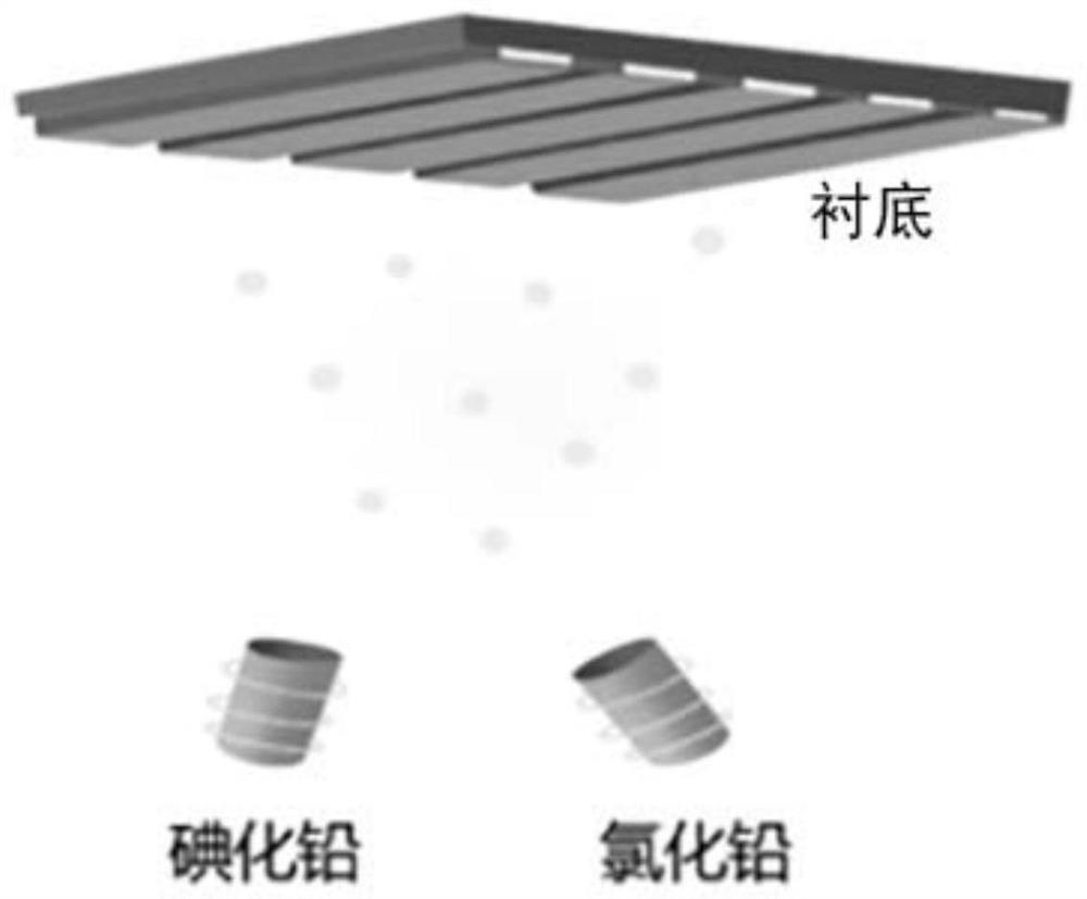 Perovskite thin film, preparation method and application