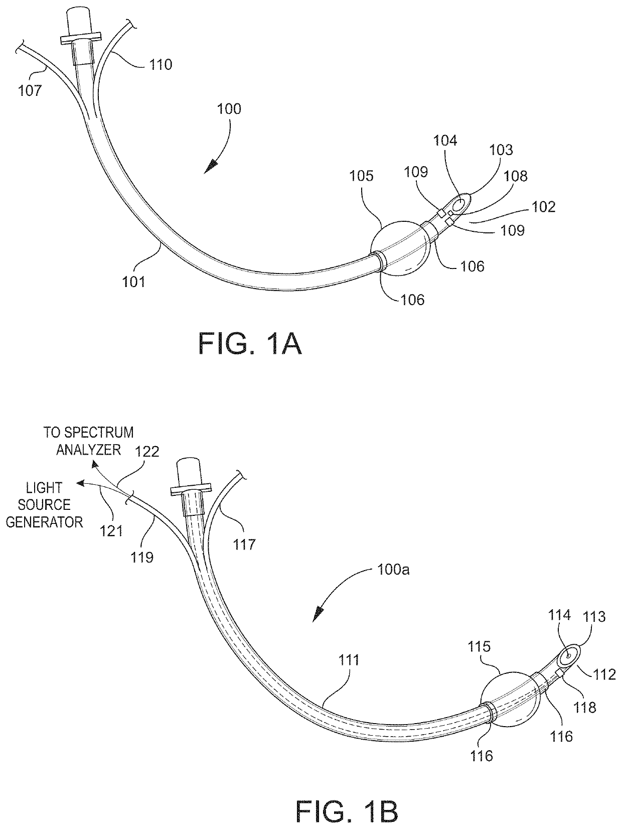 Airway management device for identification of tracheal and/or esophageal tissue