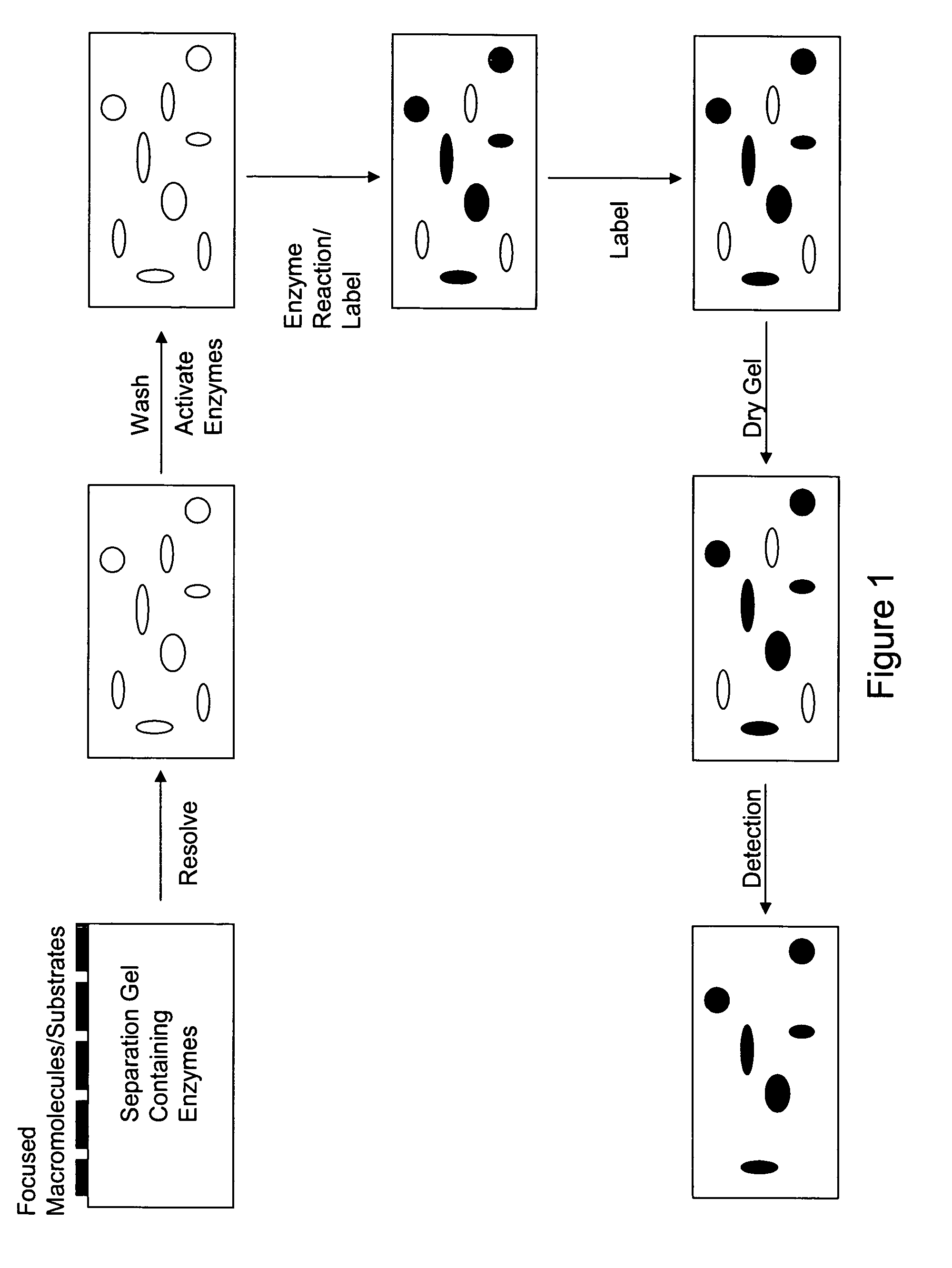 Devices and methods for profiling enzyme substrates