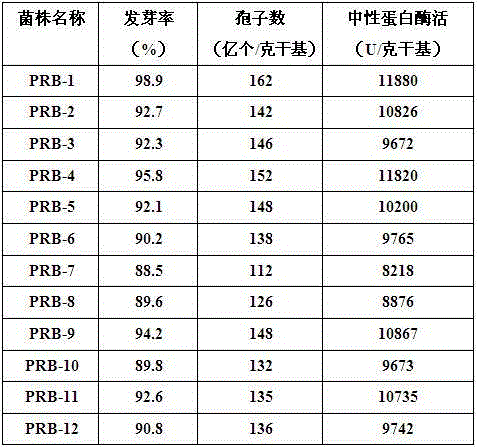 Application of Aspergillus oryzae prb-1 strain in soy sauce production