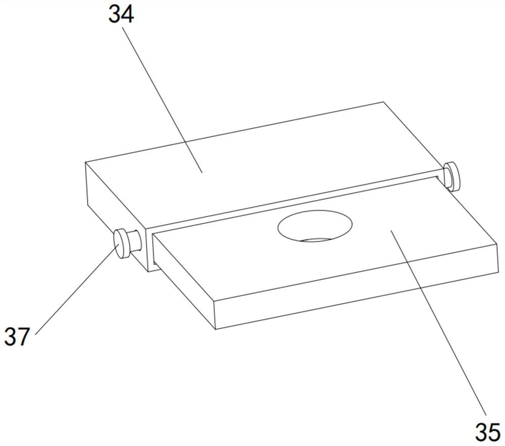 Insect prevention device for plum planting