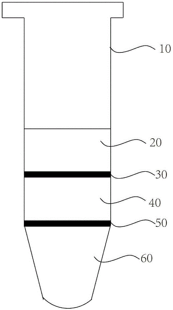 Cell invasion chemotaxis model and preparation method thereof
