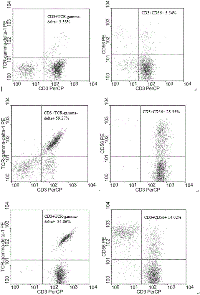 Method for jointly preparing CAR-VGamma9VDelta2T cells and CAR-NKT cells