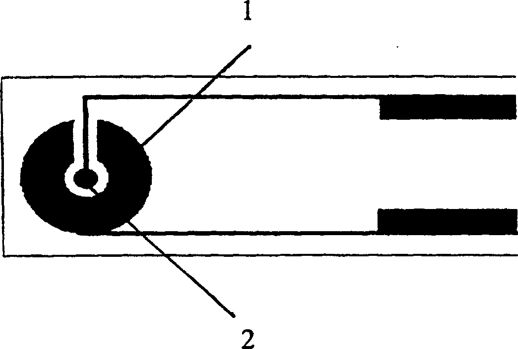 Biological testing strip