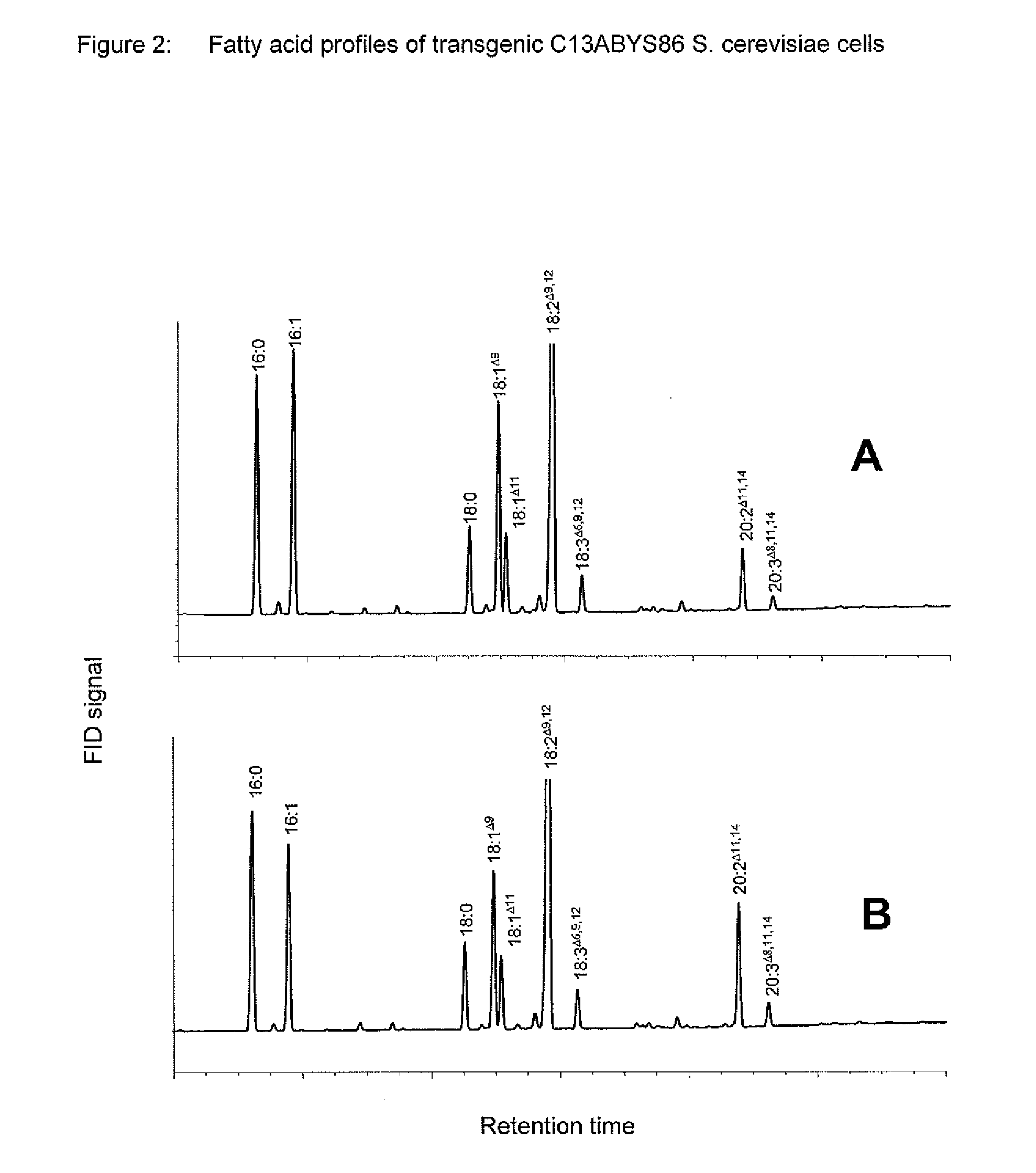 Method For The Production Of Polyunsaturated Fatty Acids