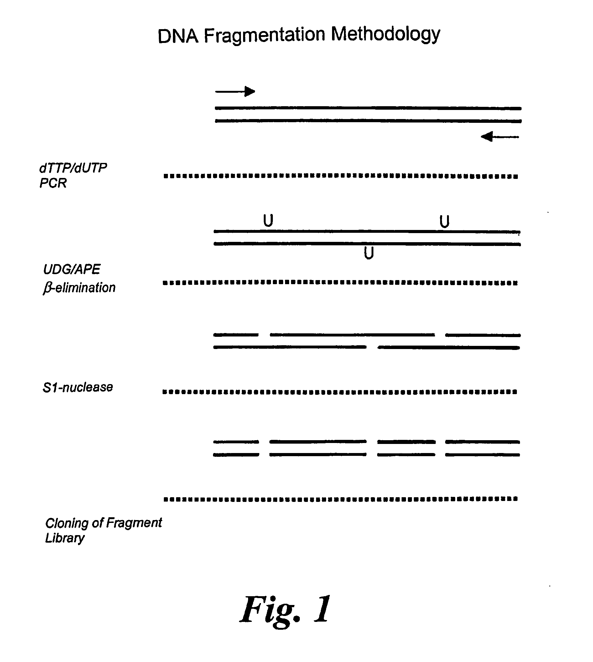 Method for producing and identifying soluble protein domains