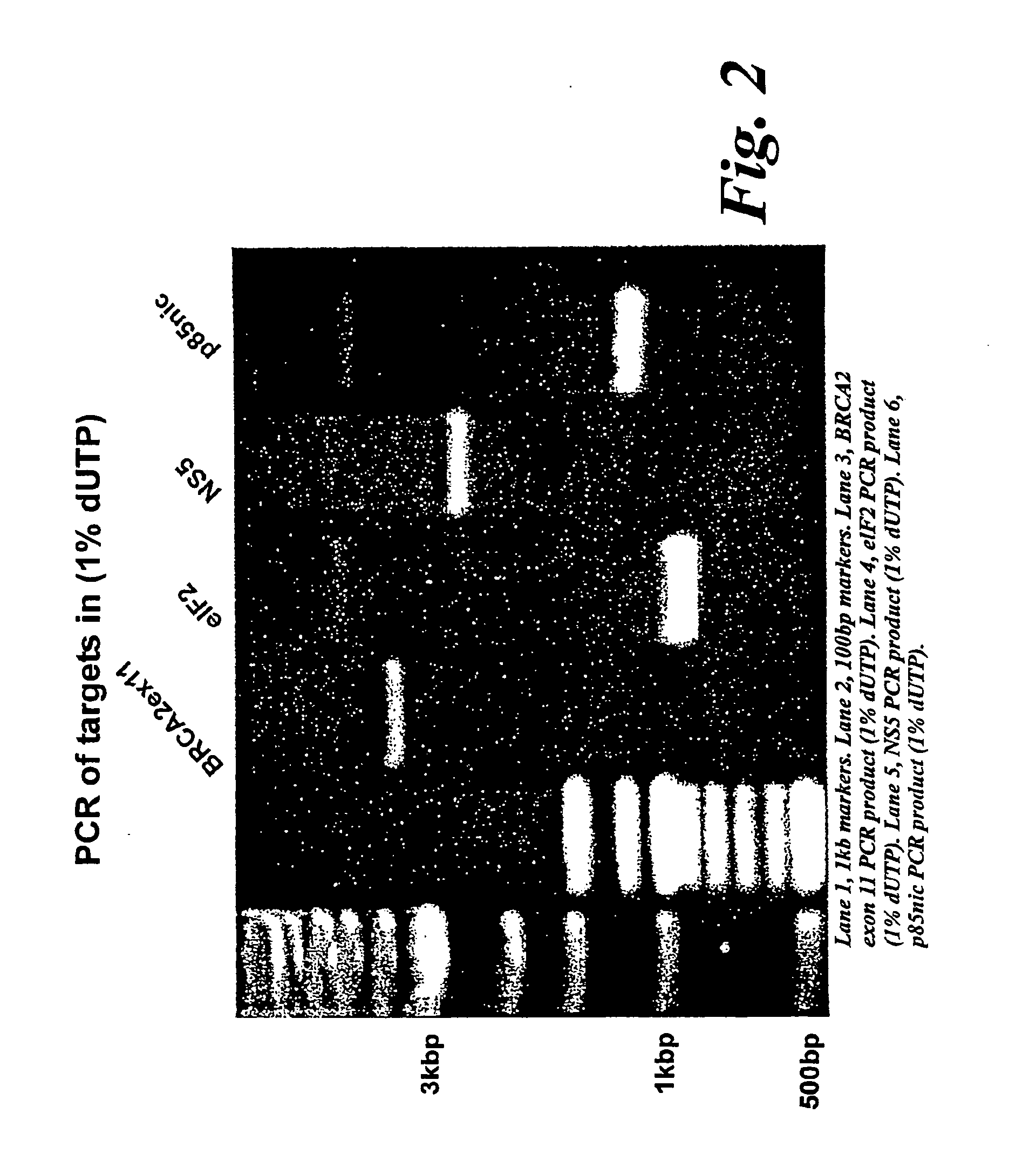 Method for producing and identifying soluble protein domains