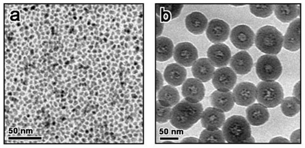 Quantum dot fluorescent nanospheres based on amphiphilic silicon carrier and preparation method thereof