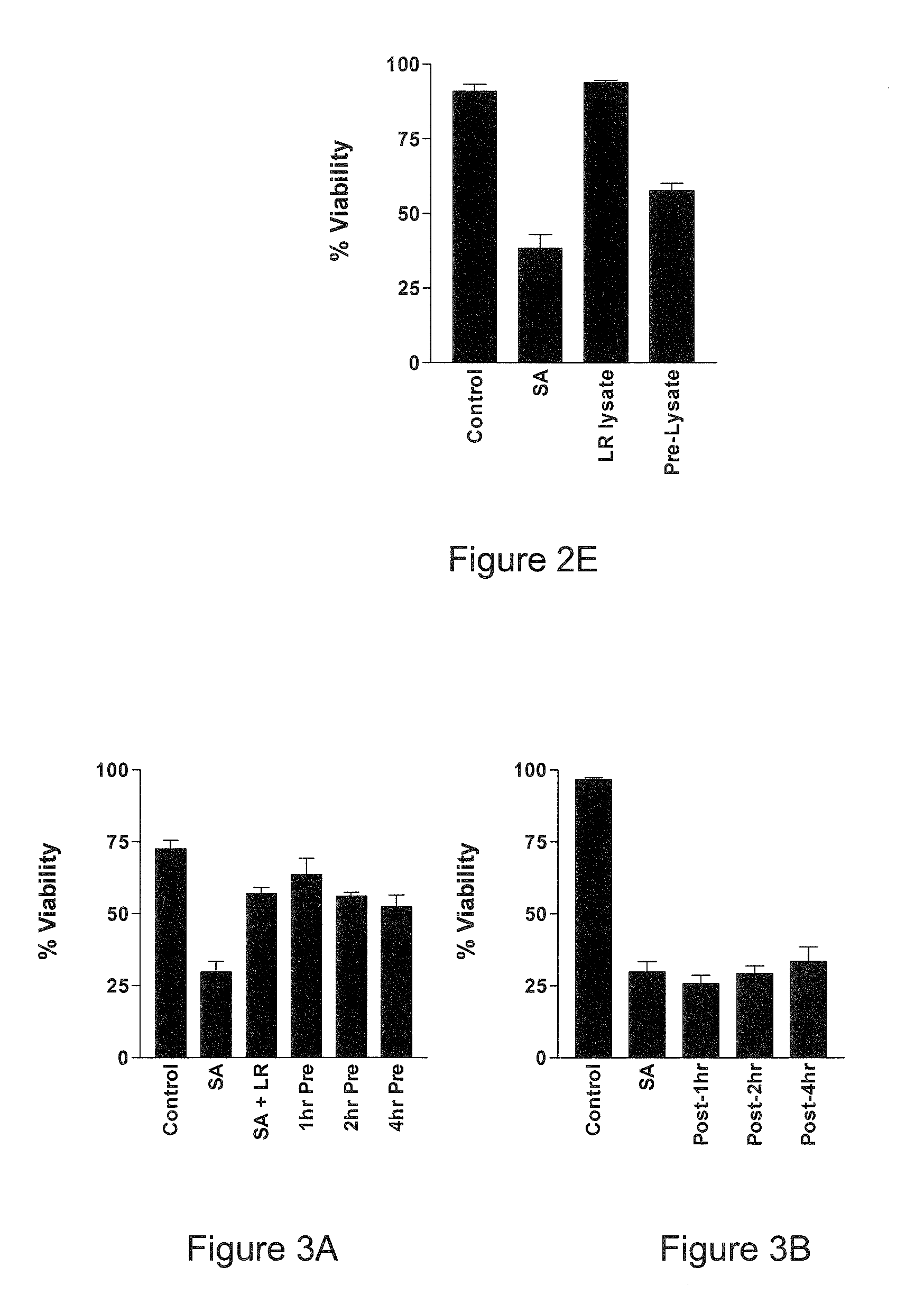 Probiotic bacteria