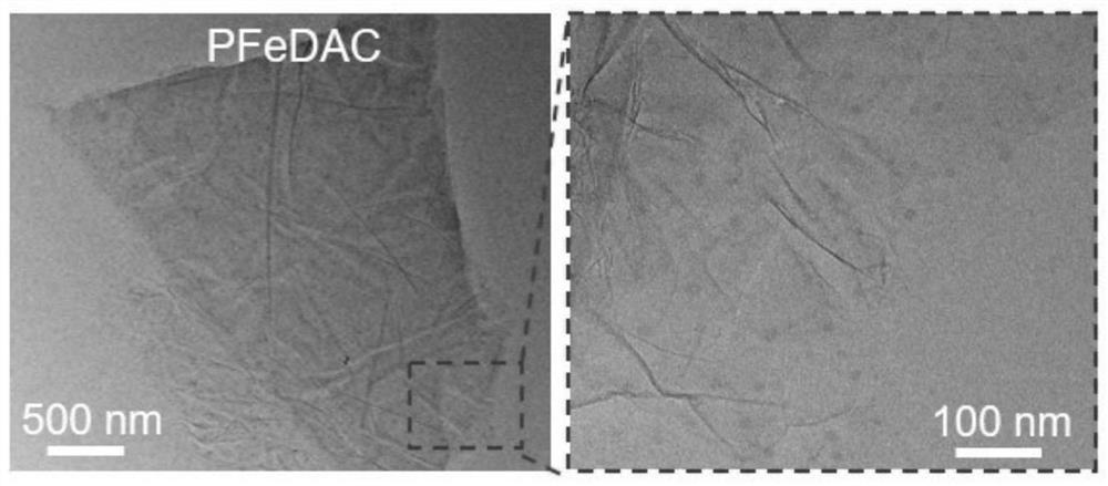 A kind of preparation method of anisotropic cellulose-based hydrogel