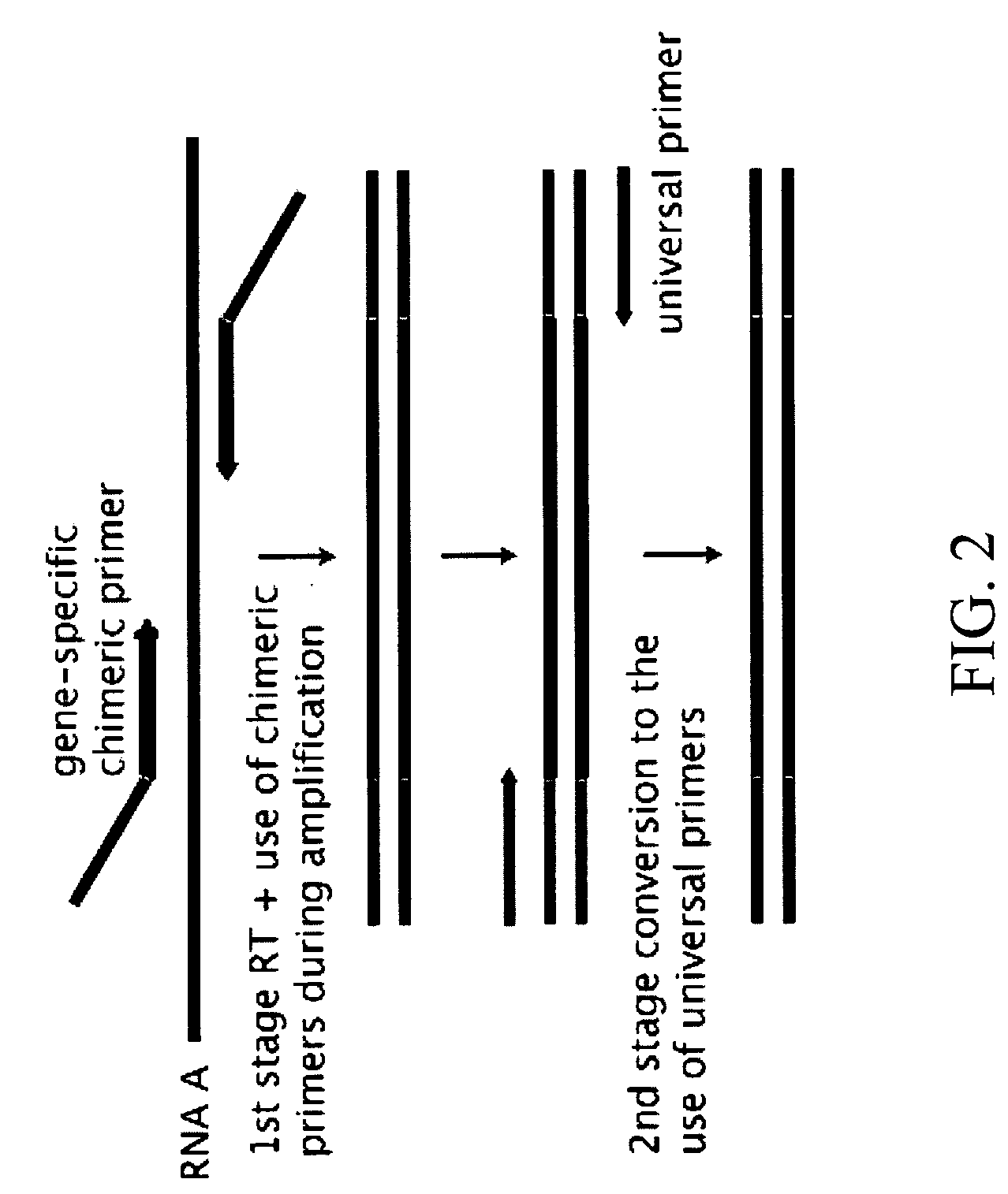 Compositions and methods for the analysis of degraded nucleic acids
