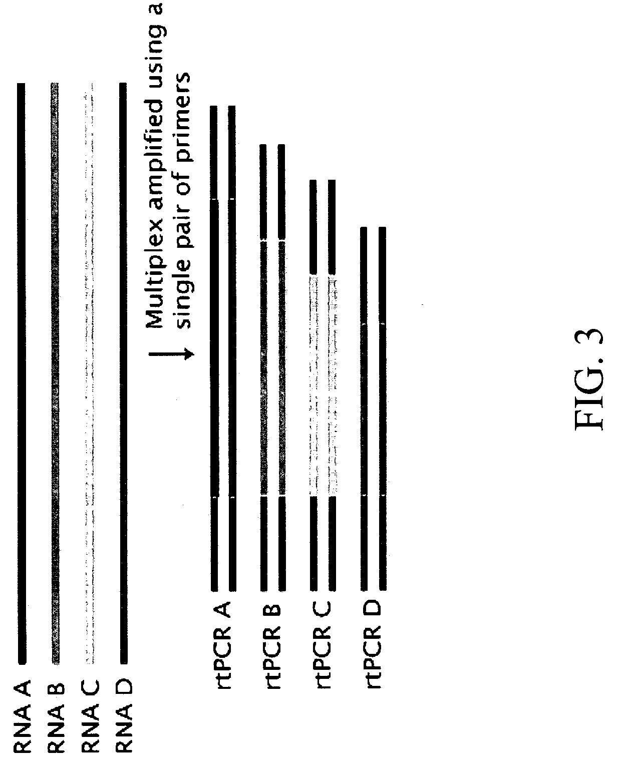 Compositions and methods for the analysis of degraded nucleic acids