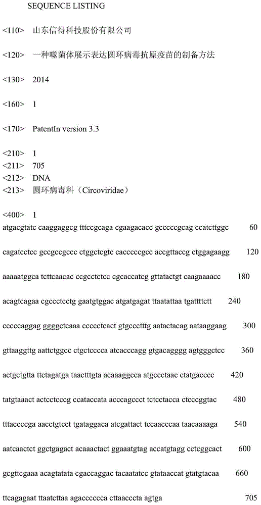 Preparation method of phage display-expressing circovirus antigen vaccine