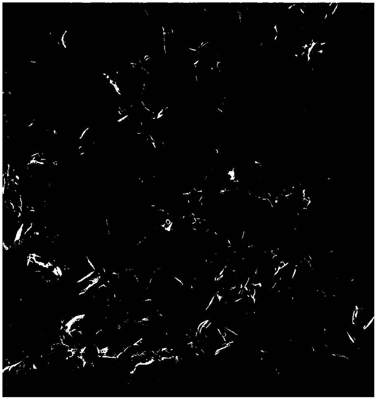 Flake silver powder prepared by means of chemical reduction method and preparation method thereof