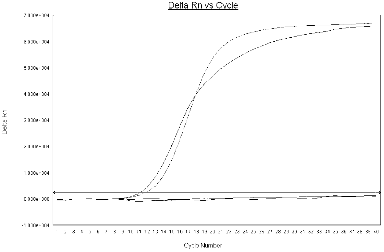 Multiple-fluorescence reverse transcription-polymerase chain reaction (RT-PCR) kit for rapid detection of novel H7N9 subtype avian influenza virus and detection method thereof