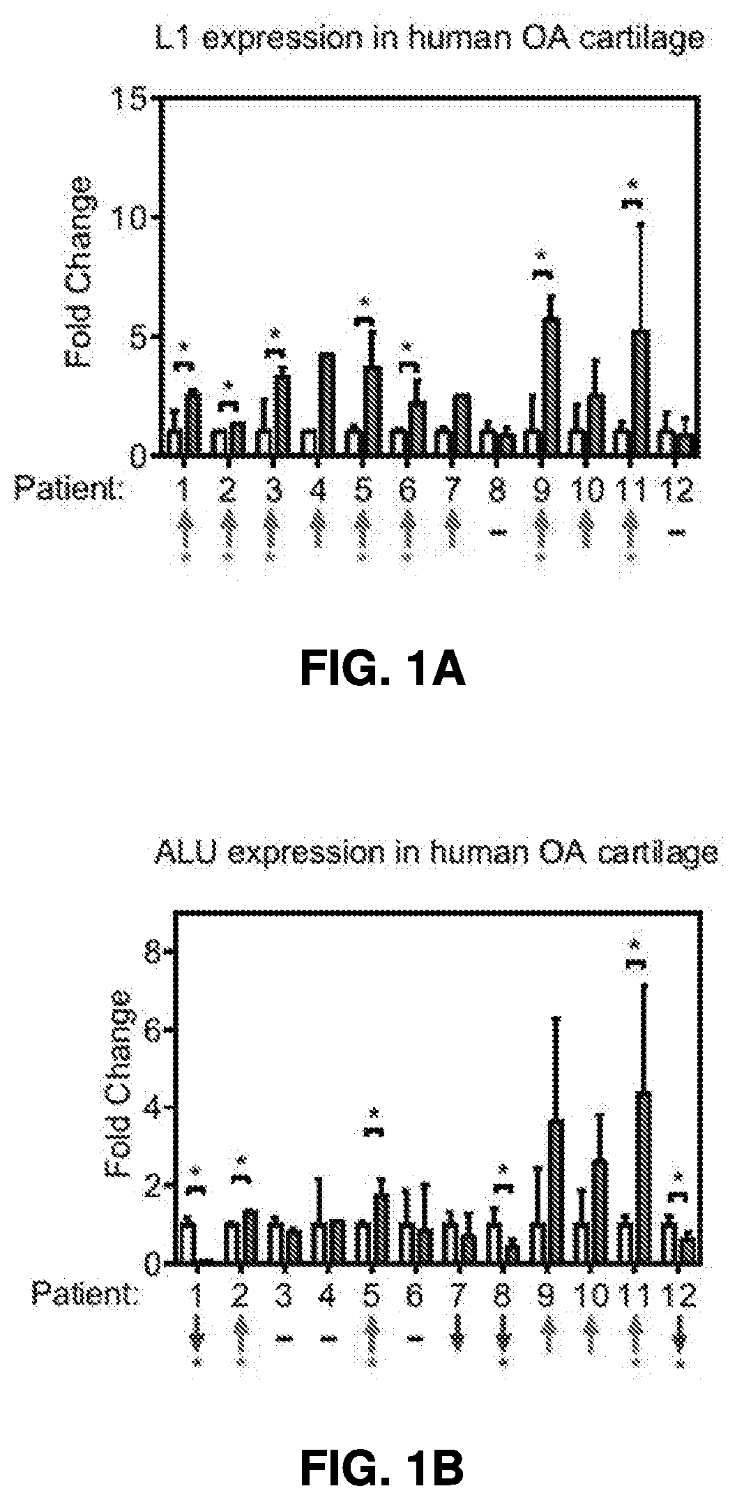 Composition and Methods for Treating Articulating Joint Disorders with Nucleoside Reverse Transcriptase Inhibitors
