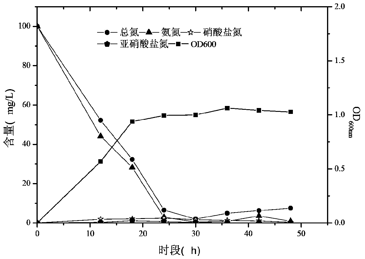 High-efficient denitrifying flocculant-producing bacterial strain and application thereof