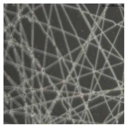 Fluorescent fiber for detecting formaldehyde and preparation method thereof