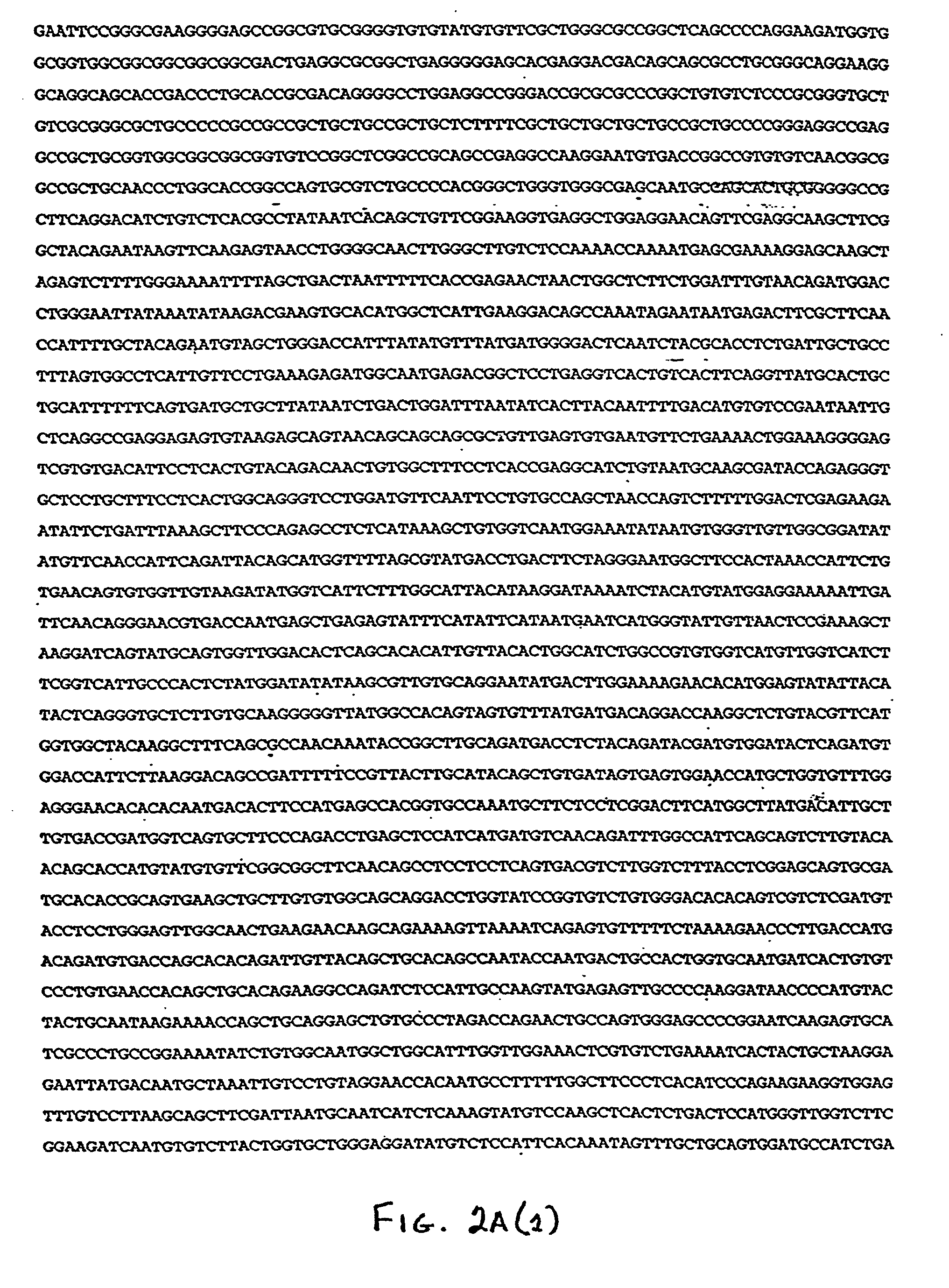 Compositions and methods for the diagnosis and treatment of body weight disorders, including obesity