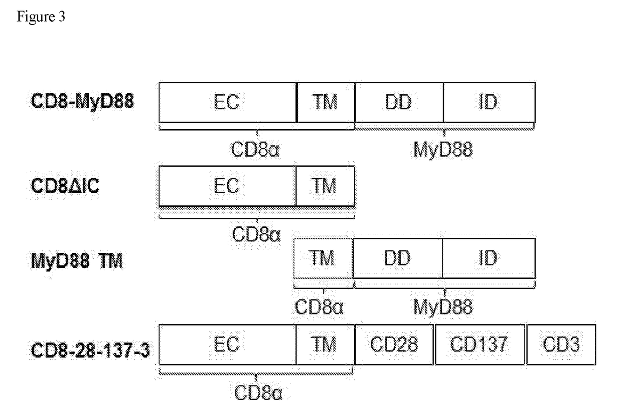 CD8a AND T CELL RECEPTOR VARIANTS AND METHODS OF USING SAME IN MODULATING IMMUNE CELL RESPONSES