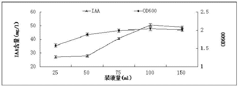 A kind of peanut rhizosphere growth-promoting bacteria hs9 and its application