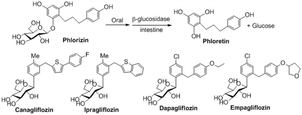 A kind of preparation method and application of whole acyl-protected 1-glucosinolate, glucose 1-thiol