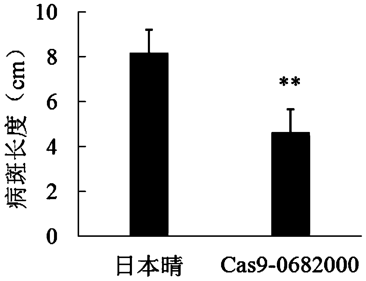 Application of gene Os11g0682000 and proteins encoded by Os11g0682000 in regulating resistance to rice bacterial leaf blight