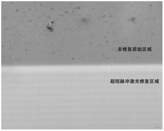 A device with functions of crystal structure detection and in-situ repair