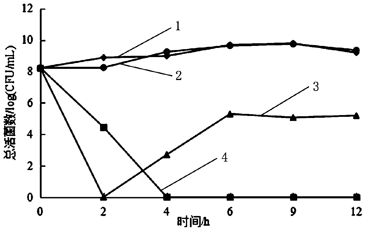 Antibacterial composition for in-vitro inhibition of pathogenic bacteria of visceral white spots of large yellow croakers, and preparation method thereof