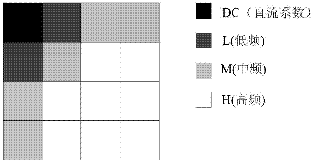 A video image coding method and device