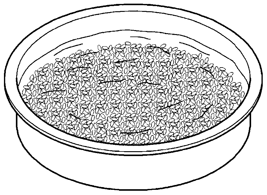 Roasted whole grain cereal preparation method and cereal in which roasted whole grains are mixed