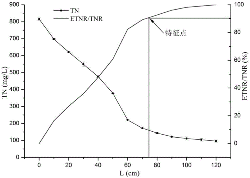 Starting and efficient operating method of normal-temperature high-ammonia-nitrogen completely autotrophic nitrogen-removal over nitrite (CANON) technique