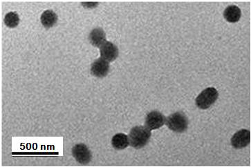 a maa  <i>-co-</i> daa  <i>-co-</i> pegma copolymer and its preparation method and application