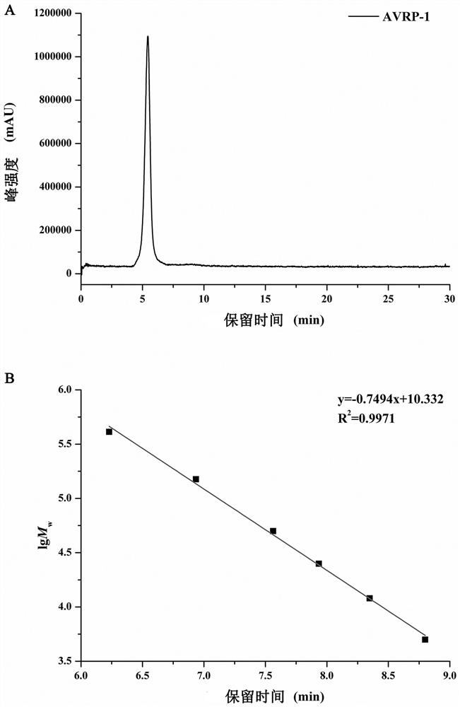Polysaccharides from rhizomes of Yangchunsha and its preparation method and application of anti-oxidation