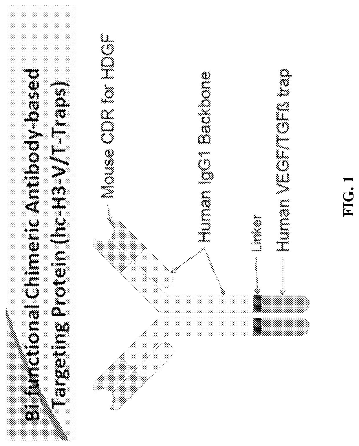 Methods of treating cancer using bifunctional molecules that target growth factors