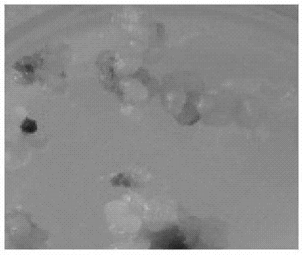 Method for rapidly breeding hybrid orchid by root, as well as culture medium