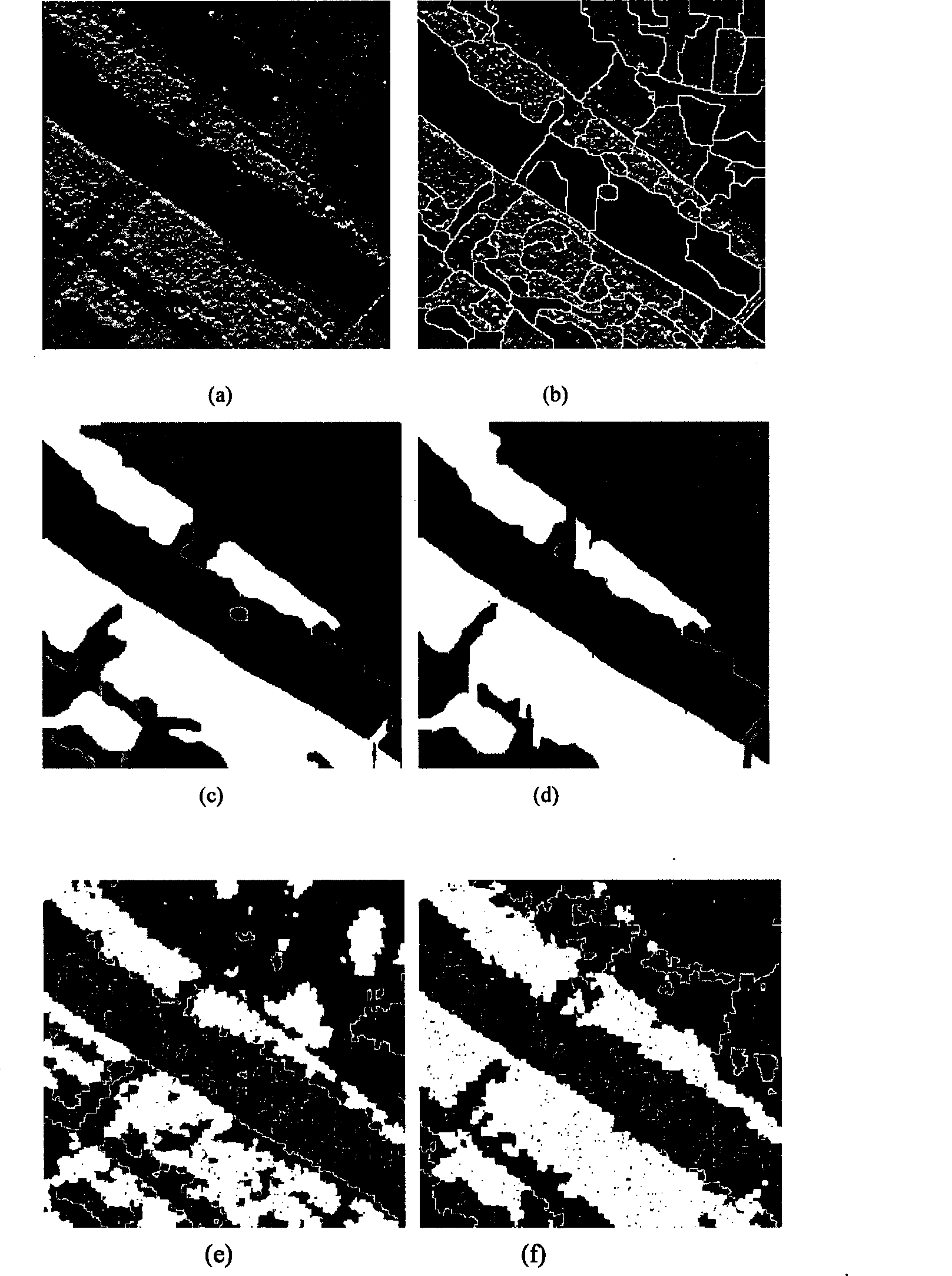 Segmentation method for improving water parting SAR image based on compound wavelet veins region merge