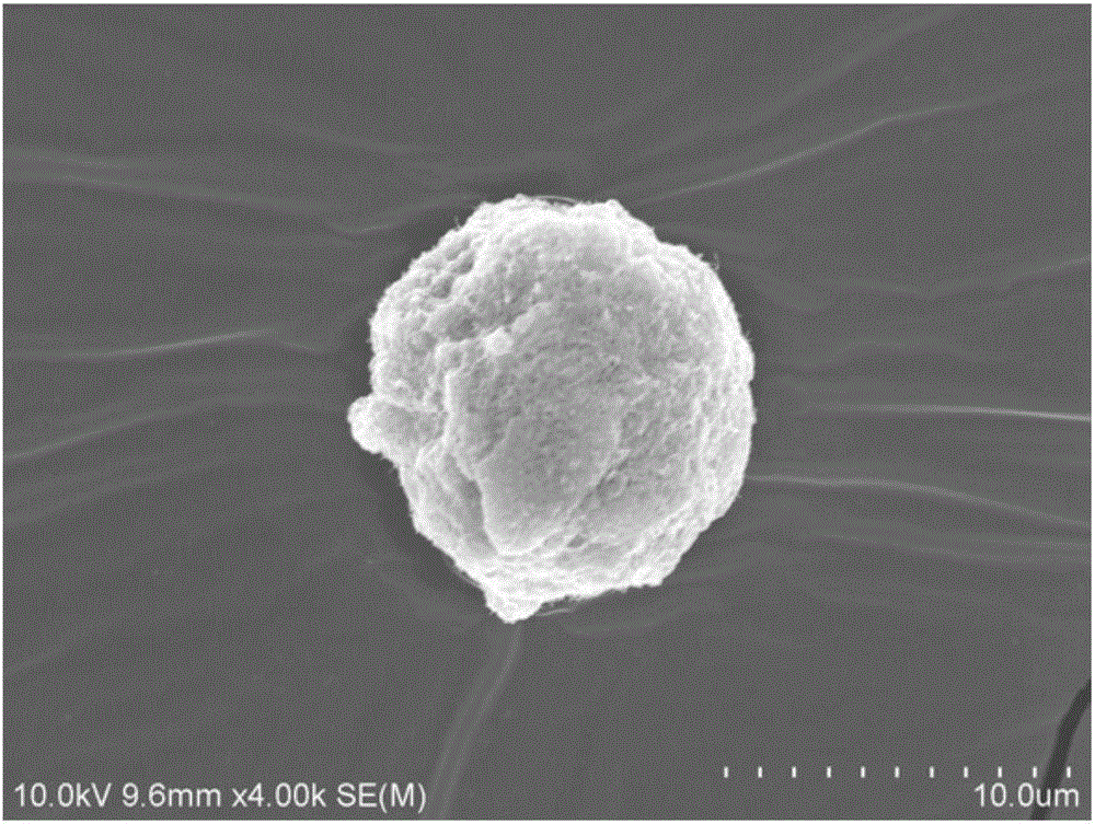 A nanoparticle/polypropylene random copolymer composite resin that can be used for 3D printing and its preparation method and application