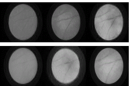 A multi-spectral palmprint fine texture extraction and recognition method