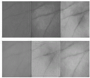 A multi-spectral palmprint fine texture extraction and recognition method