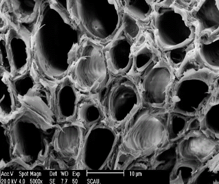 Application of silkworm excrement in aspect of serving as vector of microbial bacteria