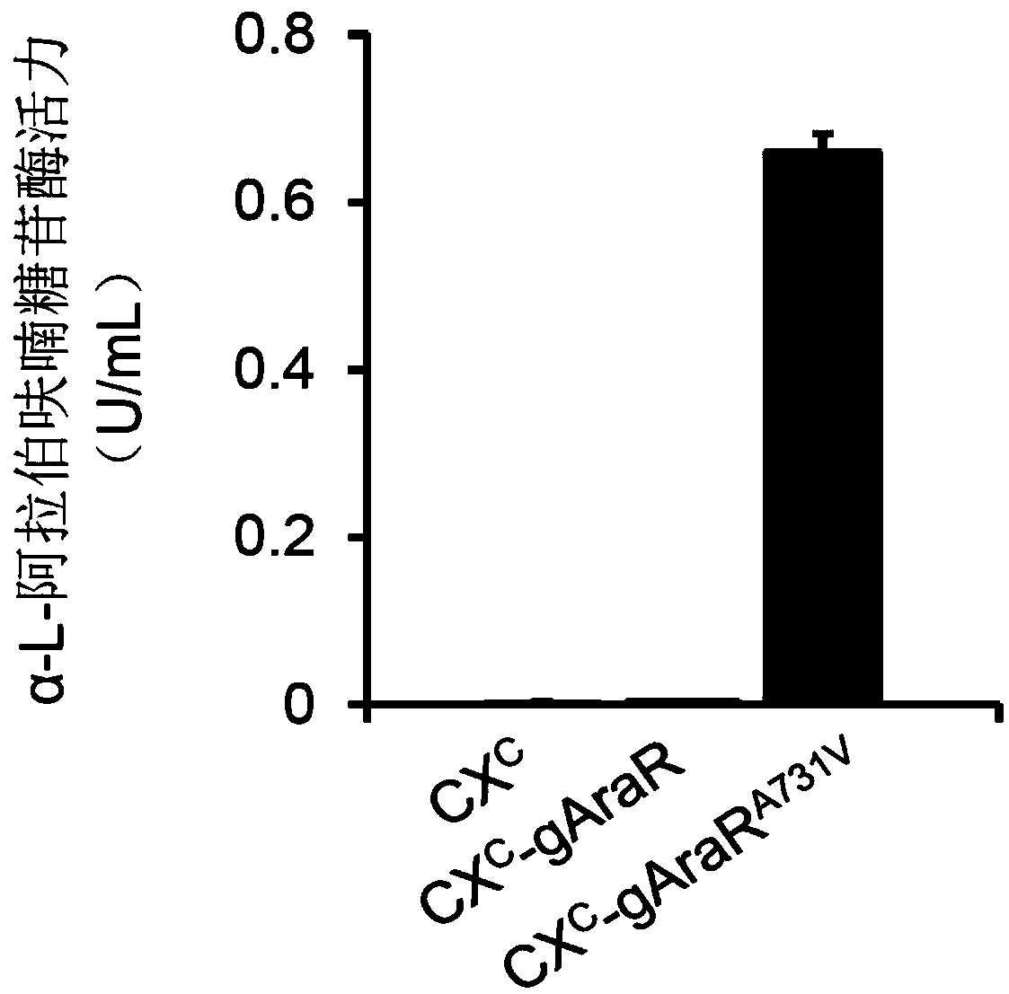 Regulatory protein AraR mutant synthesized by fungus alpha-L-arabinofuranosidase and application thereof