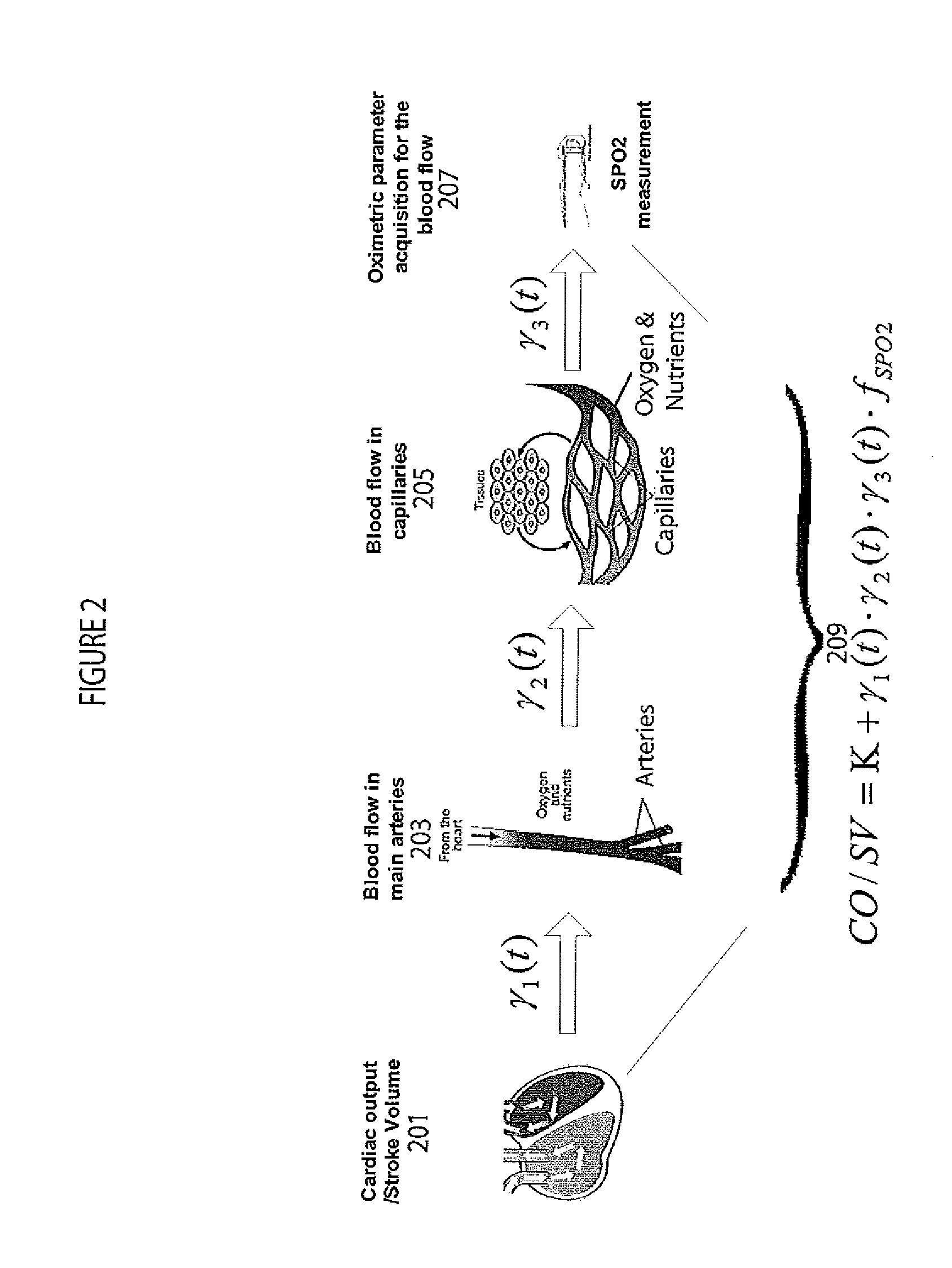 System Non-invasive Cardiac Output Determination