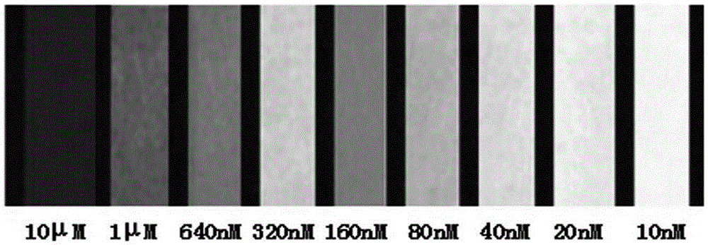 CTS-ZnO fluorescent test paper and preparation method and application thereof